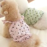 Pet Fashion Φόρεμα Πουά  – Γλυκό & Άνετο Pet Outfit (Ροζ)