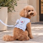 Σετ Σαμαράκι Σκύλου με Λουρί Cherry Gingham Blue - Image 2