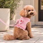 Σετ Σαμαράκι Σκύλου με Λουρί Strawberry Gingham Pink - Image 2