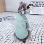 Pastel Teddy Μπλουζάκι - Μέντα - Image 2