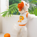 Σετ Μπλουζάκι & Καπελάκι Σκύλου Pumpkin 🍊🐶 - Image 2