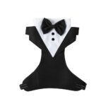 Gentleman Bow Σαμαράκι 🖤
