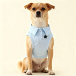 Blue Polo Paw – Κομψό Γαλάζιο Polo Μπλουζάκι για Σκύλους - Image 3