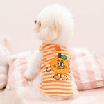 Cute Πορτοκαλί Μπλουζάκι Σκύλου με Cartoon Orange Print – Pet Shirt 🍊 - Image 2