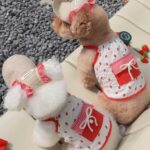 Strawberry Summer Set – Φορεματάκι & Καπελάκι για Σκύλους - Image 3