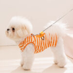 Cute Πορτοκαλί Μπλουζάκι Σκύλου με Cartoon Orange Print – Pet Shirt 🍊 - Image 3