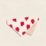 Bandana Σκύλου με Κόκκινες Τουλίπες 🌷🐶