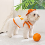 Σετ Μπλουζάκι & Καπελάκι Σκύλου Pumpkin 🍊🐶 - Image 3