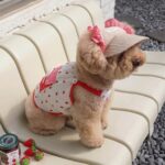 Strawberry Summer Set – Φορεματάκι & Καπελάκι για Σκύλους - Image 4