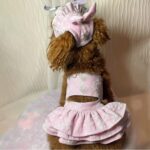 Princess Ζακάρ Φορεματάκι με Καπελάκι – Ροζ 🎀 - Image 2