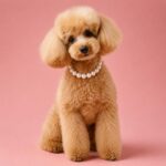 Περιλαίμιο Σκύλου με Πέρλες – Elegant Pearl Necklace - Image 2