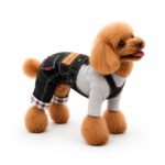 Τζιν Σαλοπέτα Σκύλου Denim – Casual Premium Outfit | Dogmama