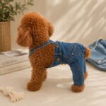 Τζιν Σαλοπέτα Σκύλου Denim Fashion | Ολόσωμο Ρούχο για Σκύλους - Image 2