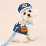 Premium Τζιν Σετ Σαμαράκι Σκύλου με Λουρί & Καπελάκι Bear - Image 2
