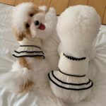 Boho Φόρεμα Σκύλου Princess με Βολάν & Πέρλες | Dogmama - Image 2