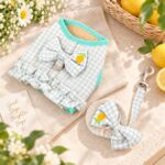 Σετ Σαμαράκι Σκύλου με Λουρί Lemon Gingham Mint