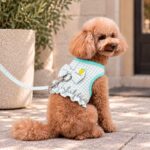 Σετ Σαμαράκι Σκύλου με Λουρί Lemon Gingham Mint - Image 2